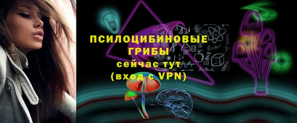 2c-b Надым