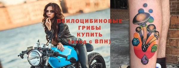 хмурый Наволоки