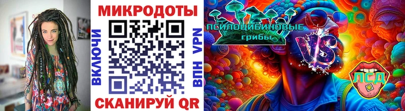 Купить где  Зубцов  Галлюциногенные грибы ЛСД 